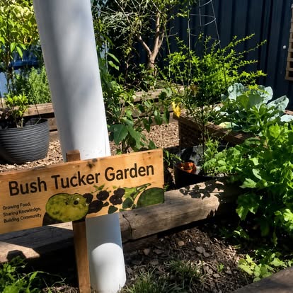 Lakeview Preschool Bush Tucker Garden
